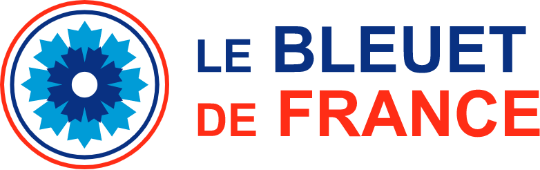 LUCIOLE - Voileuses au large